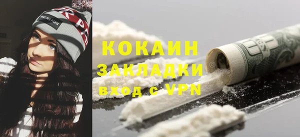 стаф Алексин