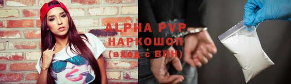 стаф Алексин