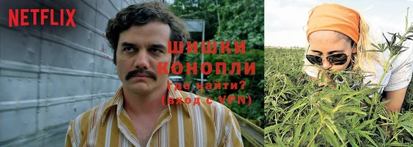 крисы Алзамай