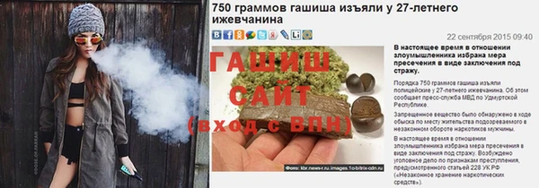 крисы Алзамай
