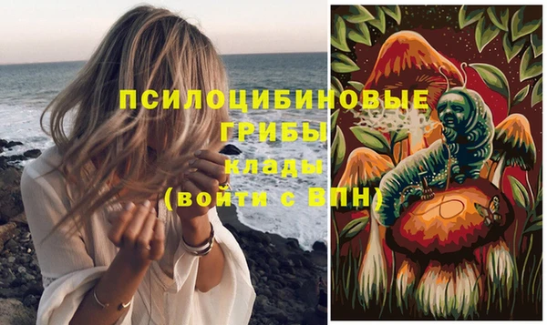 стаф Алексин