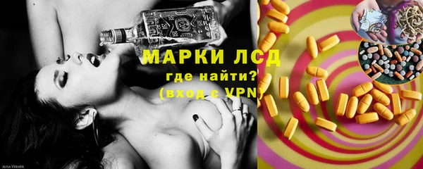 стаф Алексин